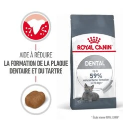 Royal Canin Dental Care Pour Chat 8kg 11 Royal Canin Dental Care Pour Chat 8kg -Chats Et Chiens Fournitures Royal Canin Dental Care Chat FR 02