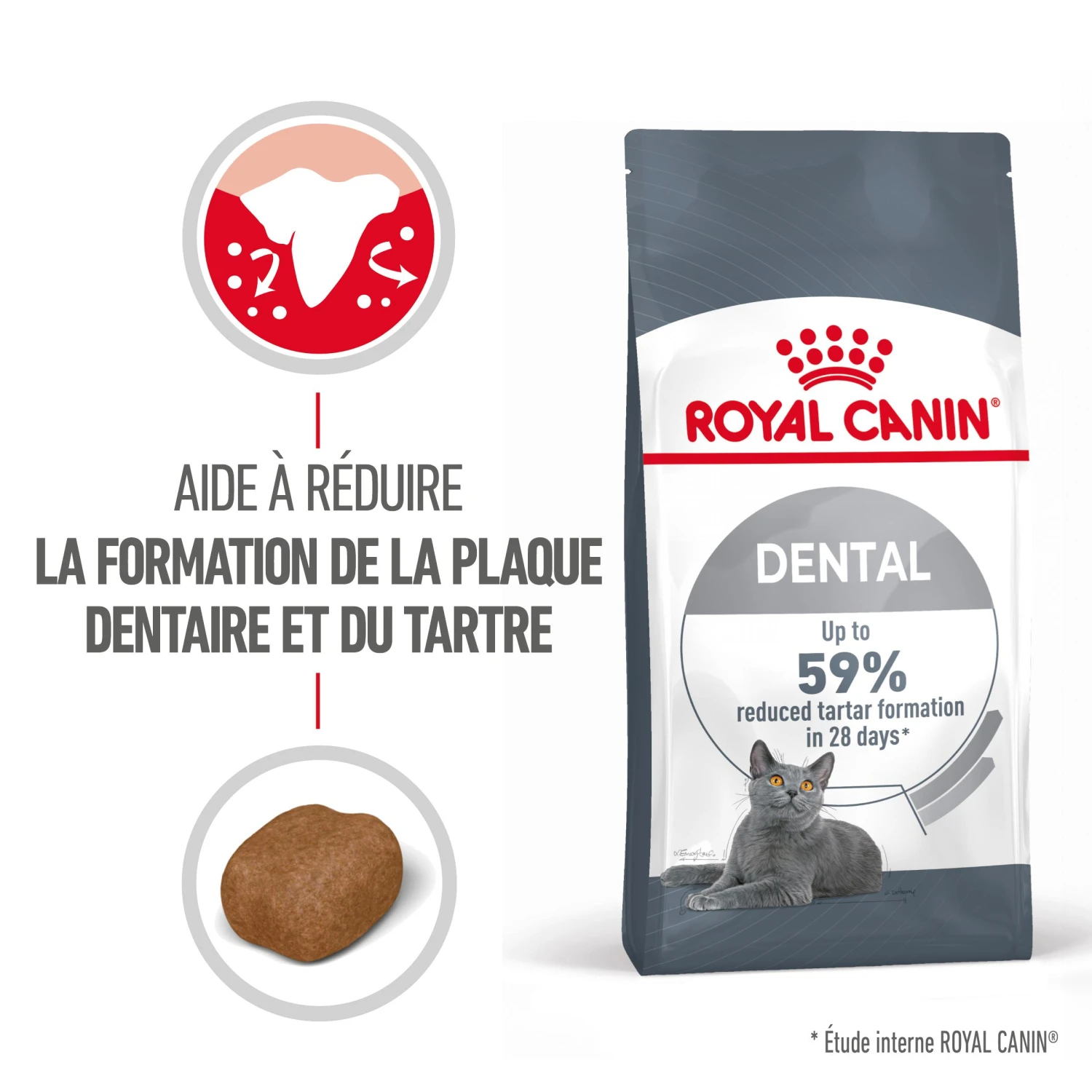 Royal Canin Dental Care Pour Chat 8kg 2 Royal Canin Dental Care Pour Chat 8kg – Image 2