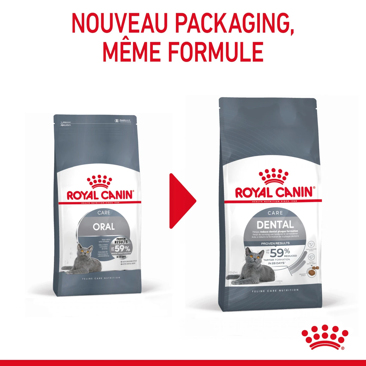 Royal Canin Dental Care Pour Chat 8kg 3 Royal Canin Dental Care Pour Chat 8kg – Image 3