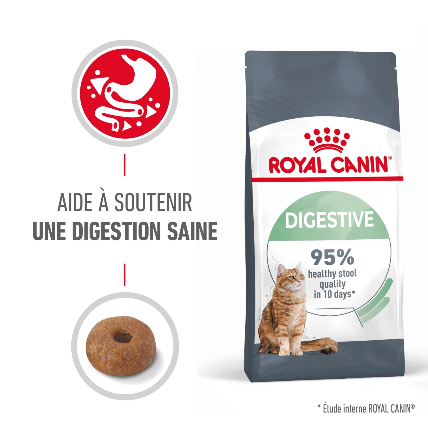 Royal Canin Digestive Care Pour Chat 10kg 2 Royal Canin Digestive Care Pour Chat 10kg – Image 2