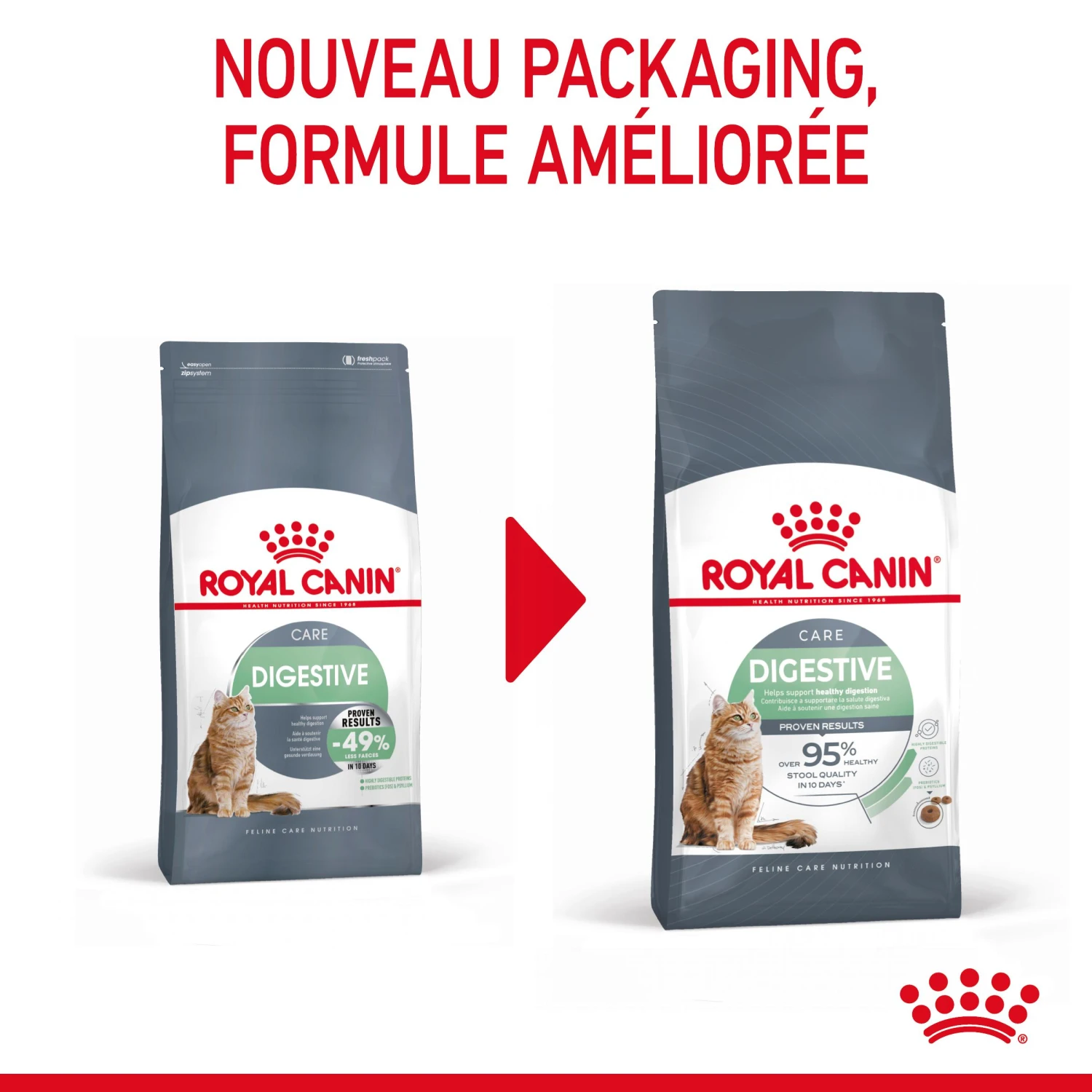 Royal Canin Digestive Care Pour Chat 10kg 3 Royal Canin Digestive Care Pour Chat 10kg – Image 3