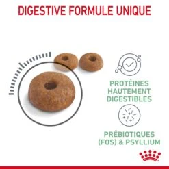 Royal Canin Digestive Care Pour Chat 10kg 15 Royal Canin Digestive Care Pour Chat 10kg -Chats Et Chiens Fournitures Royal Canin Digestive Care Chat FR 05 2