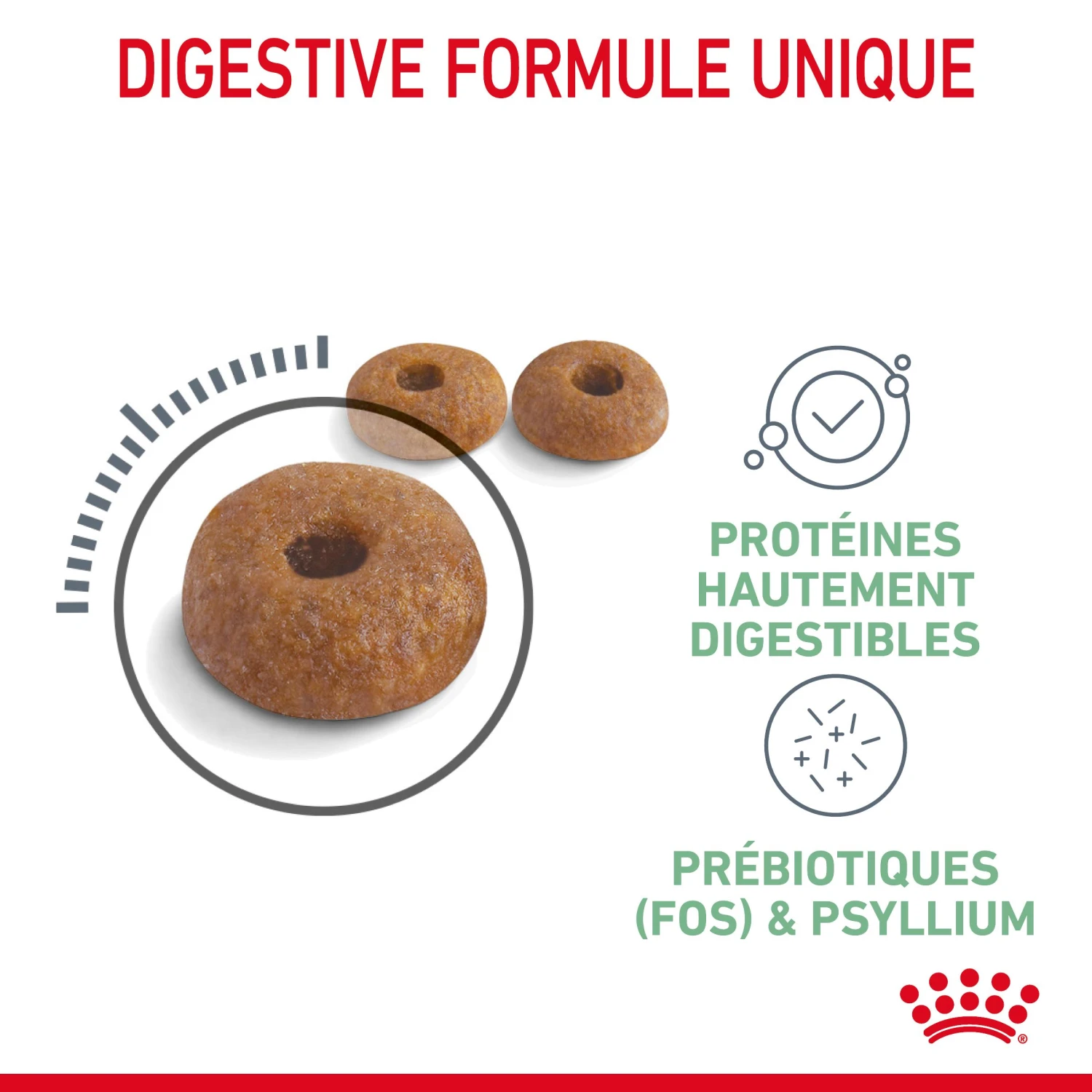 Royal Canin Digestive Care Pour Chat 10kg 5 Royal Canin Digestive Care Pour Chat 10kg – Image 5