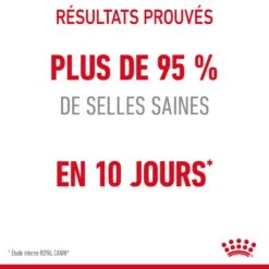 Royal Canin Digestive Care Pour Chat 4kg -Chats Et Chiens Fournitures Royal Canin Digestive Care Chat FR 06 1