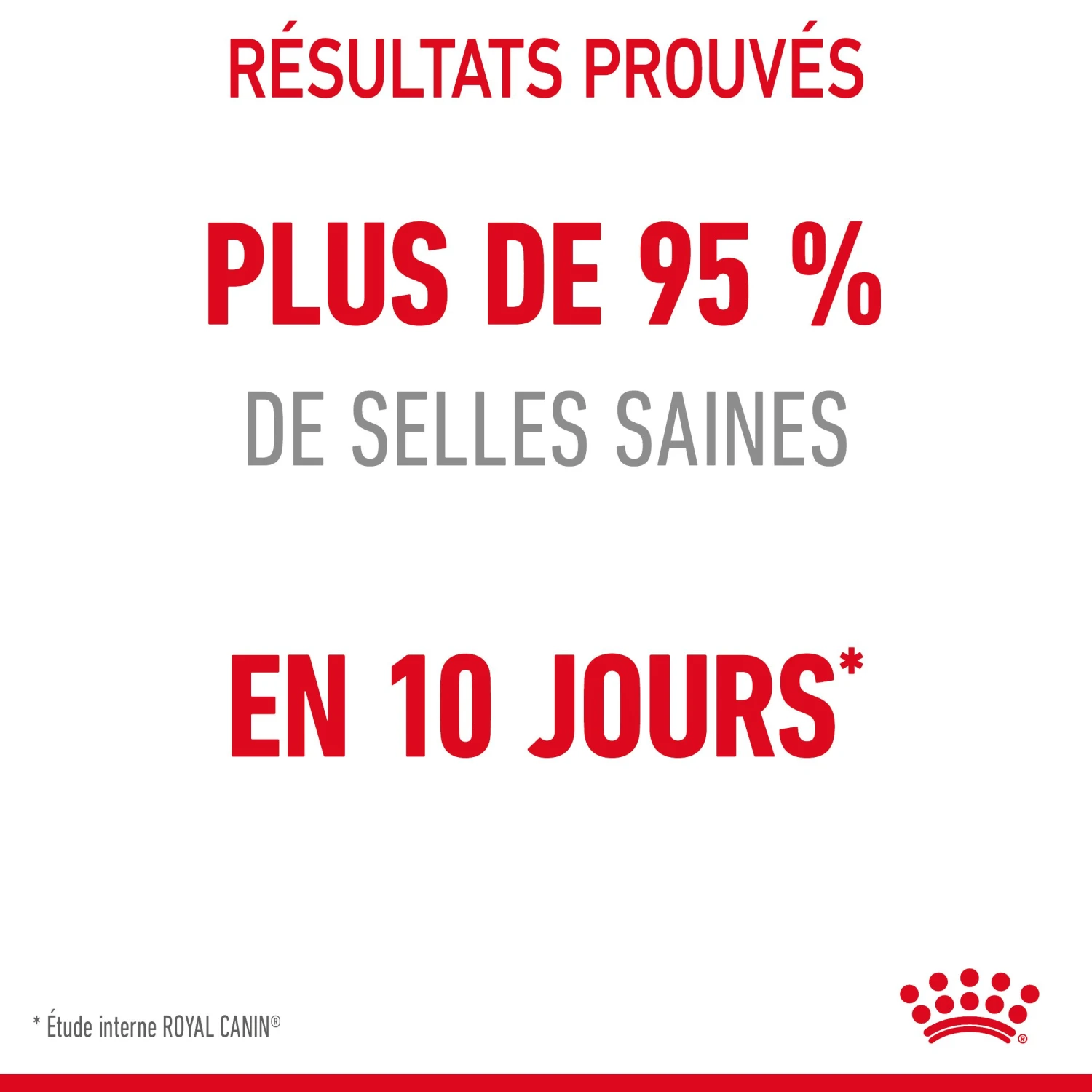 Royal Canin Digestive Care Pour Chat 10kg 6 Royal Canin Digestive Care Pour Chat 10kg – Image 6