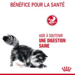 Royal Canin Digestive Care Pour Chat 10kg 17 Royal Canin Digestive Care Pour Chat 10kg -Chats Et Chiens Fournitures Royal Canin Digestive Care Chat FR 07 2