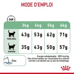 Royal Canin Digestive Care Pour Chat 4kg -Chats Et Chiens Fournitures Royal Canin Digestive Care Chat FR 09 1