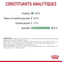 Royal Canin Digestive Care En Sauce Pour Chat 12 Sachets De 85g -Chats Et Chiens Fournitures Royal Canin Digestive Care Gravy Chat FR 10