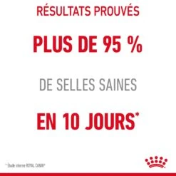 Royal Canin Digestive Care En Sauce Pour Chat 12 Sachets De 85g -Chats Et Chiens Fournitures Royal Canin Digestive Care Gravy Chat FR 14