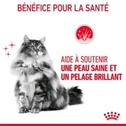 Royal Canin Hair & Skin Care En Sauce Pour Chat 12 Sachets De 85g -Chats Et Chiens Fournitures Royal Canin Hair Skin Care Gravy Chat FR 08