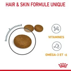 Royal Canin Hair & Skin Care Pour Chat 2kg -Chats Et Chiens Fournitures Royal Canin Hair skin Care Chat FR 05