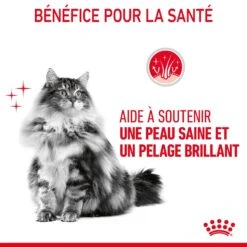 Royal Canin Hair & Skin Care Pour Chat 2kg -Chats Et Chiens Fournitures Royal Canin Hair skin Care Chat FR 07