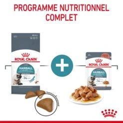 Royal Canin Hairball Care Pour Chat 4kg -Chats Et Chiens Fournitures Royal Canin Hairball Care Chat FR 04