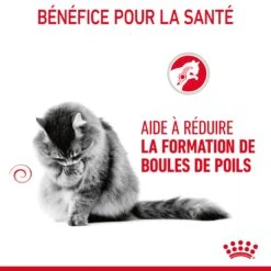 Royal Canin Hairball Care Pour Chat 4kg -Chats Et Chiens Fournitures Royal Canin Hairball Care Chat FR 07