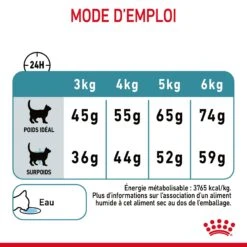 Royal Canin Hairball Care Pour Chat 4kg -Chats Et Chiens Fournitures Royal Canin Hairball Care Chat FR 09