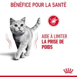 Royal Canin Light Weight Care Pour Chat 3kg -Chats Et Chiens Fournitures Royal Canin Light Weight Chat FR 07 1