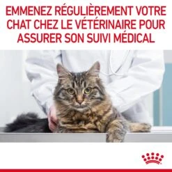 Royal Canin Light Weight Care Pour Chat 3kg -Chats Et Chiens Fournitures Royal Canin Light Weight Chat FR 11 1