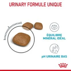 Royal Canin Urinary Care Pour Chat 4kg -Chats Et Chiens Fournitures Royal Canin Urinary Care Chat FR 05