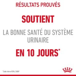 Royal Canin Urinary Care Pour Chat 4kg -Chats Et Chiens Fournitures Royal Canin Urinary Care Chat FR 06