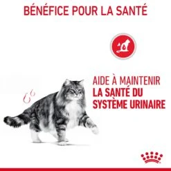 Royal Canin Urinary Care Pour Chat 10kg -Chats Et Chiens Fournitures Royal Canin Urinary Care Chat FR 07 2