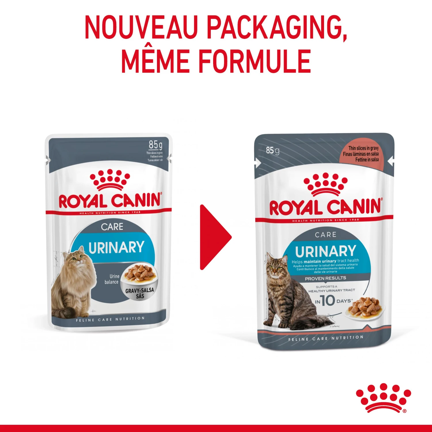 Royal Canin Urinary Care En Sauce Pour Chat 12 Sachets De 85g 5 Royal Canin Urinary Care En Sauce Pour Chat 12 Sachets De 85g – Image 5