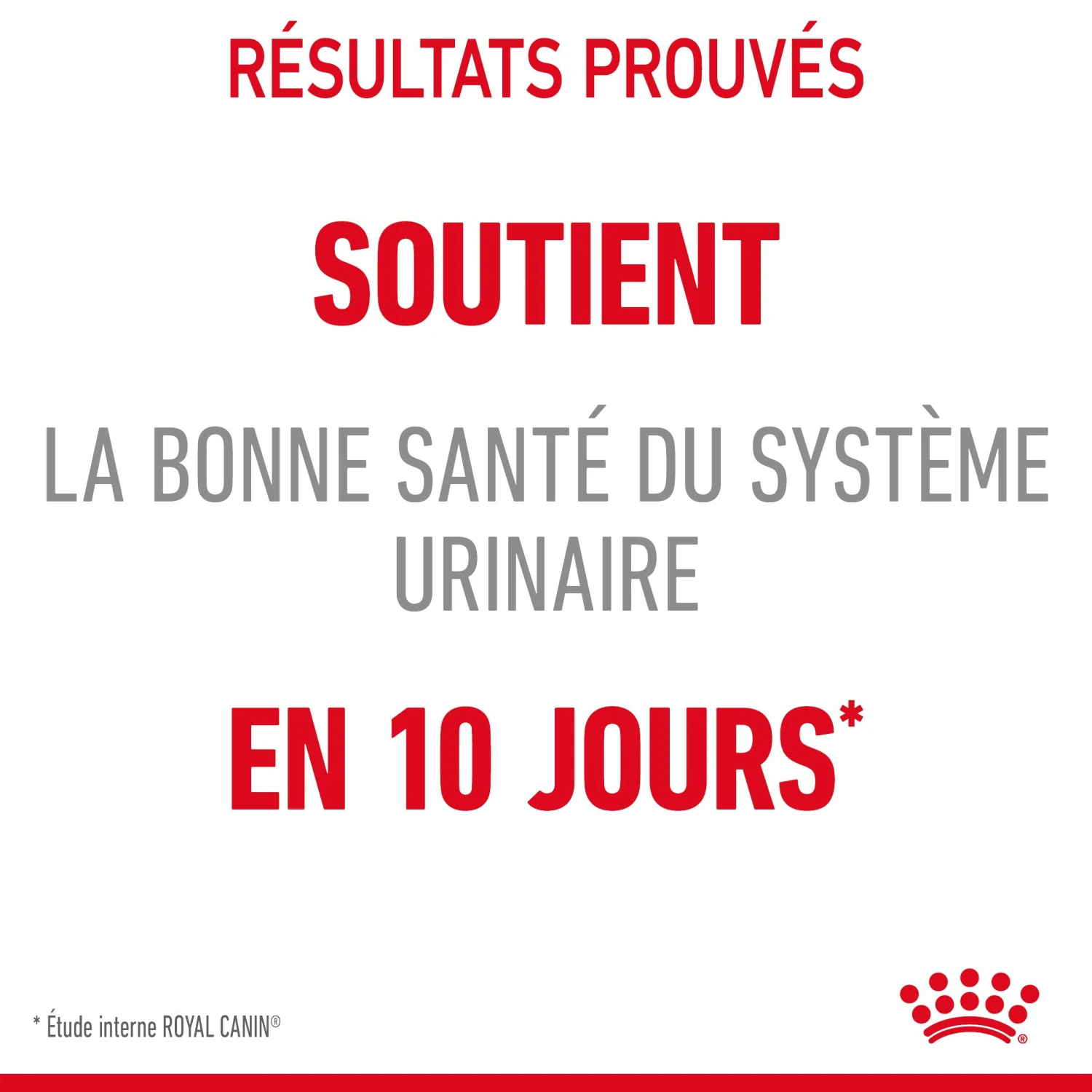 Royal Canin Urinary Care En Sauce Pour Chat 12 Sachets De 85g 14 Royal Canin Urinary Care En Sauce Pour Chat 12 Sachets De 85g – Image 14