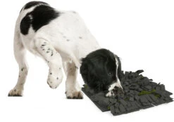 Flamingo Tapis à Renifler Amigo Rectangulaire + Fermeture Eclair Gris/vert 40x50cm -Chats Et Chiens Fournitures a775a03a816b5a96e49c58cd3ecbc26540a84574cd16c3ba95abf6994148d0f2