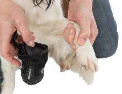 Trixie Chaussures De Protection Walker Active / XS 2pcs. -Chats Et Chiens Fournitures a9ed7403e7270fba9cbe0c569267f57bb704d33b769ec1a5458f95b1bf0c54e0 5