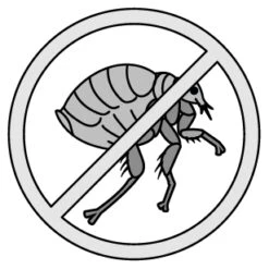 Flamingo Antiparasitaire Batali Puce & Tique Stop Spray Panier & Tapis 800ml 5 Flamingo Antiparasitaire Batali Puce & Tique Stop Spray Panier & Tapis 800ml -Chats Et Chiens Fournitures ac38722791d08c74ff88dc1f32ffcc4587f59ac245908855e8c94d6cc5c69c8c