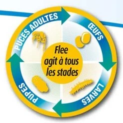 Flee Aerosol 400ml -Chats Et Chiens Fournitures aerosol flee 400 ml 2