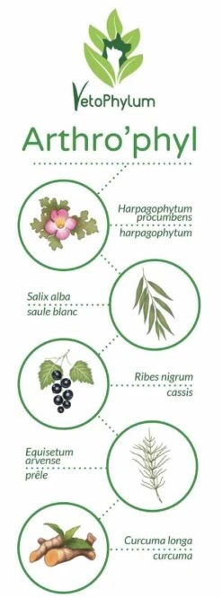 Arthro'Phyl -Chats Et Chiens Fournitures arthrophyl4