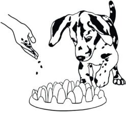 Flamingo Gamelle Anti-glouton Northmate Green Mini 29x22,5x7cm -Chats Et Chiens Fournitures b74acb27fc8671dd3a6a347beb8b4d678a9f6bea25d7cfd99894003e8e580dae