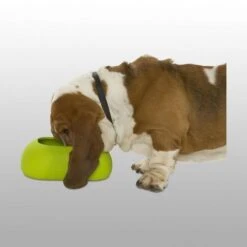 Buster Gamelle Incredibowl 7 Buster Gamelle Incredibowl -Chats Et Chiens Fournitures b7db7eb0627be48e1161fb24e8121baeec2f2b6161bf624f19777e80bde9c2c9