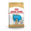 Royal Canin Labrador Retriever Chiot Pour Chien 3kg
