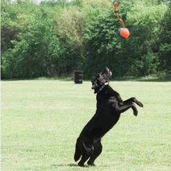 Ballon 3 En 1 Rope Fetch -Chats Et Chiens Fournitures ballon 3 en 1 rope fetch3