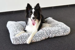 Flamingo Coussin Snoozzy Rectangulaire Gris/noir 80x55x10cm -Chats Et Chiens Fournitures bb7527f4c676d26b4ea8f39e1c369c3a6e72382d8c29eecd6845566bf571d769