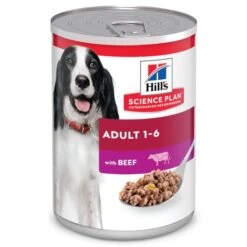 Hill's Science Plan Adult Boîtes Pour Chien Medium Au Bœuf - 12 X 370g
