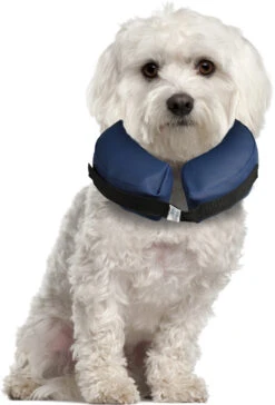 Flamingo Collier Gonflable Pour Chiens Gofi S -Chats Et Chiens Fournitures c76564a084433e164fdda469521c2f8b95e5c504b608d8280deab069721e7d8e