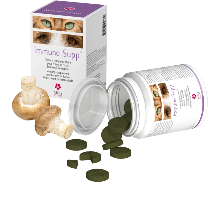 Immune Supp 30 Comprimés 1 Immune Supp 30 Comprimés