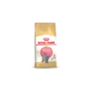Royal Canin Britisch Shorthair Chatton 10kg