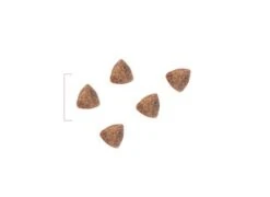 ROYAL CANIN PEDIATRIC STARTER DOG - 12 Kg -Chats Et Chiens Fournitures croquettes starter