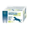 Condrovet Chien
