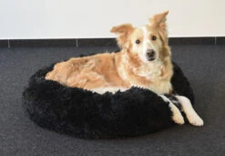 Flamingo Panier Krems Rond Noir 70cm -Chats Et Chiens Fournitures dd063b37f56b55a2d2881154a00697cfb0927245ac2924ff515d6864bc0f3c70