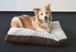 Flamingo Coussin Snoozzy Rectangulaire Fermeture Eclair Brun 80x55x10cm -Chats Et Chiens Fournitures ddebe20b0518f8cb1ab97d70c10ffd70611da800dd60a449d444ba58ea18165f