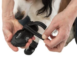 Trixie Chaussures De Protection Walker Active / M 2pcs. -Chats Et Chiens Fournitures e08062450bd8a32b408258fb4c31ff7f7447657b0f4f3fa1ecca0f8550d45313 3