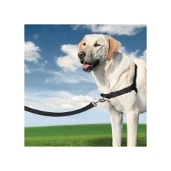 PetSafe Harnais Easy Walk -Chats Et Chiens Fournitures eb4fdb80c2f8d99ea26df9f6cdeca2a83a50e5994c3be22754a3f4f6b468f993