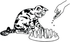 Flamingo Gamelle Anti-glouton Northmate Catch 27x23x8cm Violet -Chats Et Chiens Fournitures edc72a656a40ed0f4f4be75cc91ef98d23cf8175636af623d70d9fdbaf48c07a