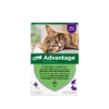 Advantage 80 Chat Et Lapin De Plus De 4 Kg