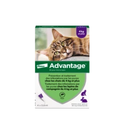 Advantage 80 Chat Et Lapin De Plus De 4 Kg