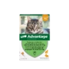 Advantage 40 Chat Et Lapin De 1 à 4 Kg